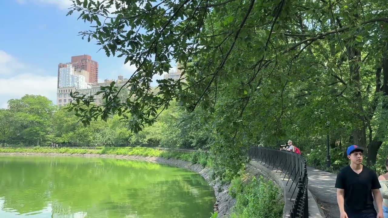 Symphony no. 5 NYC Park Montage